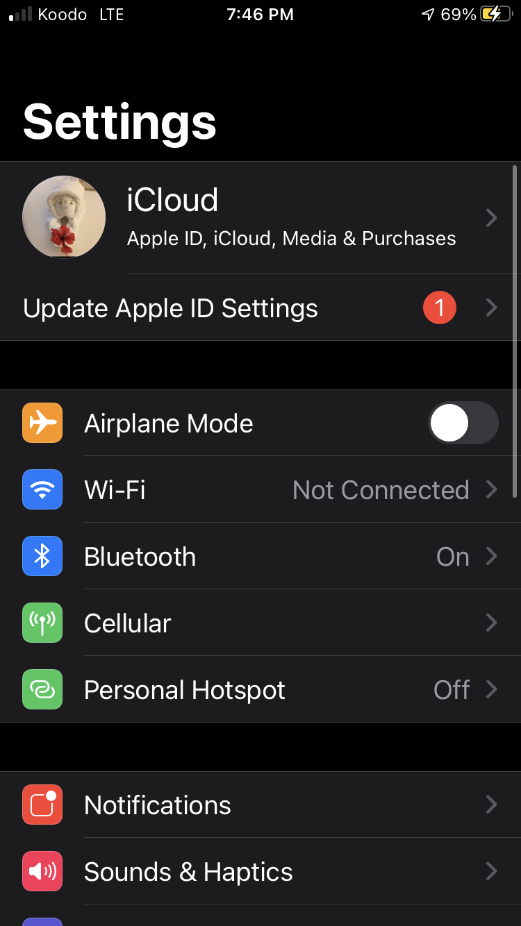 The name in the settings app being replaced with "iCloud".